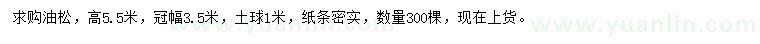 求購冠幅3.5米油松