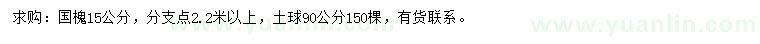 求購15公分國槐