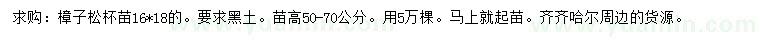 求購高50-70公分樟子松