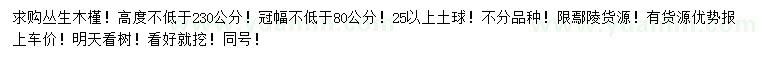 求購(gòu)冠幅80公分以上叢生木槿
