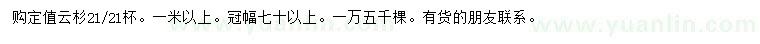 求購冠幅70公分以上云杉