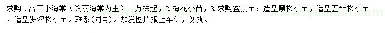 求購絢麗海棠、梅花、造型黑松等