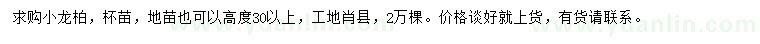 求購高30公分以上小龍柏