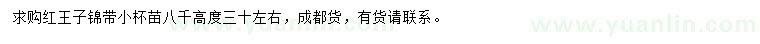 求購(gòu)高30公分紅王子錦帶