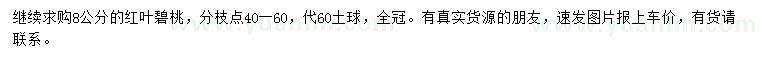 求購8公分紅葉碧桃