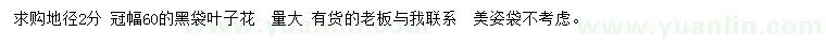 求購冠幅60公分黑袋葉子花
