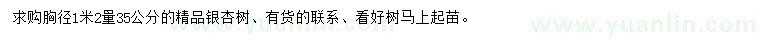 求購1.2米量35公分銀杏樹