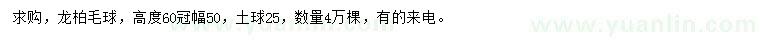 求購冠幅50公分龍柏毛球