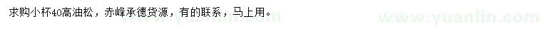 求購(gòu)高40公分油松