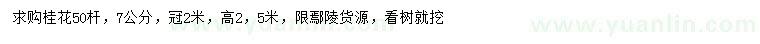 求購7公分桂花