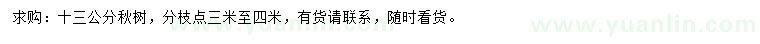 求購13公分楸樹