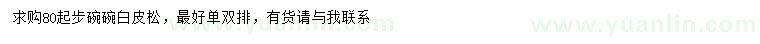 求購80公分以上白皮松