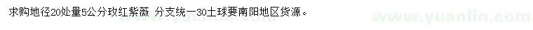求購20公分量5公分玫紅紫薇