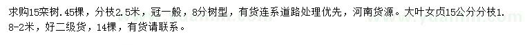 求購15公分欒樹、大葉女貞