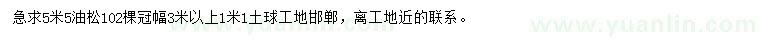 求購冠幅3米以上油松