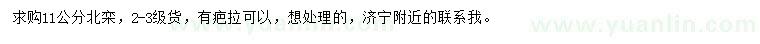 求購11公分北欒