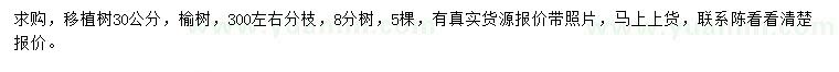 求購30公分榆樹