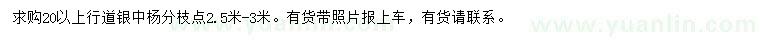 求購20公分以上銀中楊