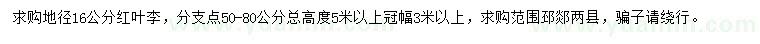 求購(gòu)地徑16公分紅葉李
