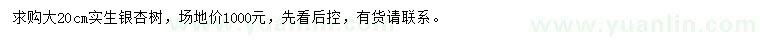 求購(gòu)20公分銀杏樹