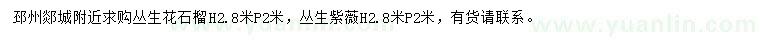 求購冠幅2米叢生花石榴、叢生紫薇