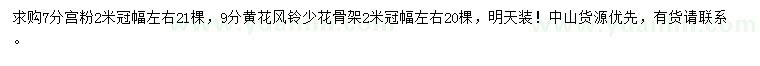 求購冠幅2米宮粉、9公分黃花風鈴