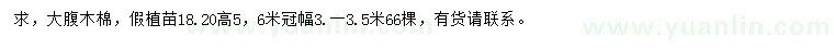 求購冠幅3-3.5米大腹木棉