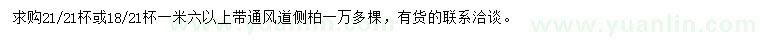 求購1.6米以上側(cè)柏