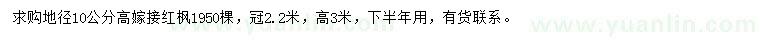 求購地徑10公分紅楓