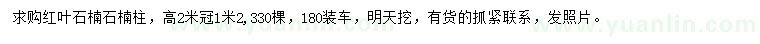 求購冠幅1.2米紅葉石楠石楠柱
