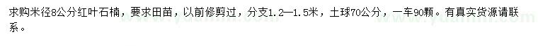 求購(gòu)米徑8公分紅葉石楠