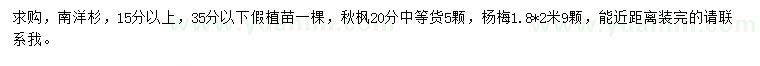 求購南洋杉、秋楓、楊梅