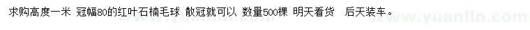 求購冠幅80公分紅葉石楠球
