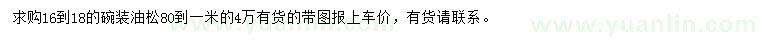 求購高0.8-1米油松
