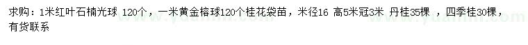 求購紅葉石楠球、黃金榕球、丹桂等