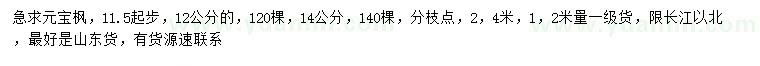 求購11.5、12、14公分元寶楓