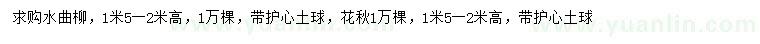 求購高1.5-2米水曲柳、花楸