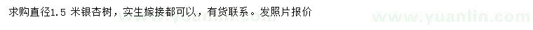 求購1.5米銀杏