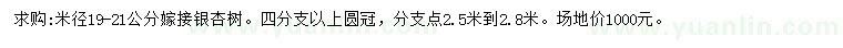 求購(gòu)米徑19-21公分銀杏