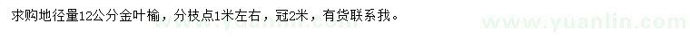 求購地徑12公分金葉榆