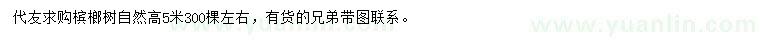 求購高5米檳榔樹