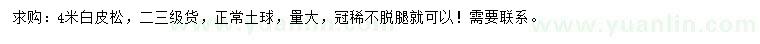 求購4米白皮松