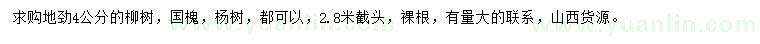 求購(gòu)柳樹、國(guó)槐、楊樹