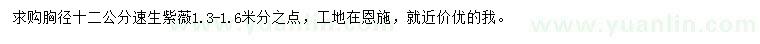 求購(gòu)胸徑12公分速生紫薇