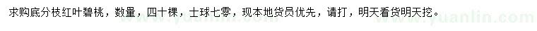 求購紅葉碧桃