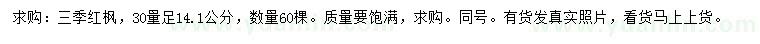 求購(gòu)30量14.1公分三季紅楓