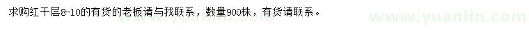 求購(gòu)8-10公分紅千層