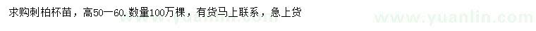 求購高50-60公分刺柏