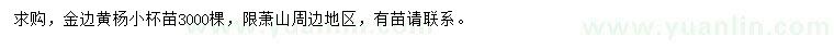 求購金邊黃楊