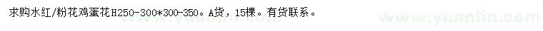 求購高250-300、300-350公分雞蛋花